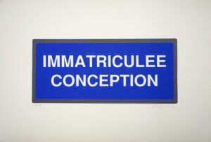 Immatriculée conception – DUCORROY Joël
