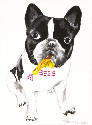 Bouledogue Carambar – TARASS