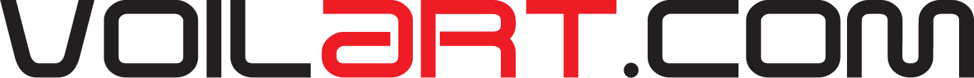 VOILART (Logo Long)