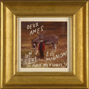 Deux ânes – MARINIER Jonathan