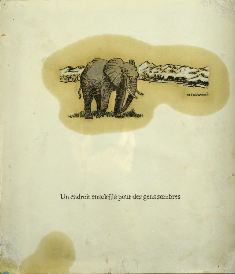 Un endroit ensoleillé – PANIGHI Gérald