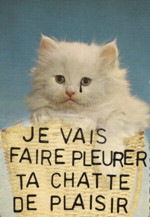 Je vais faire pleurer ta chatte de plaisir – RABA